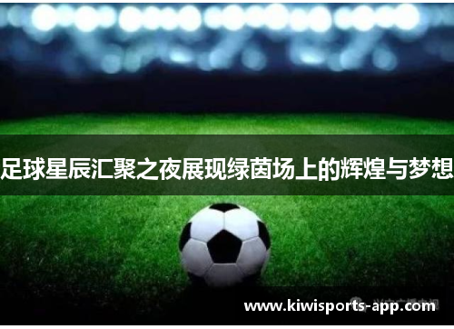 足球星辰汇聚之夜展现绿茵场上的辉煌与梦想