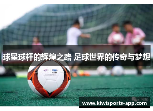 球星球杆的辉煌之路 足球世界的传奇与梦想